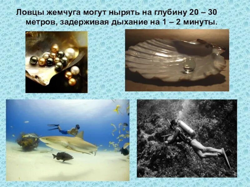 Давление на дне морей и океанов исследование морских глубин. Давление на дне морей. Давление на дне океанов. Давление на дне океана сообщение. Давление на дне морей и океанов доклад