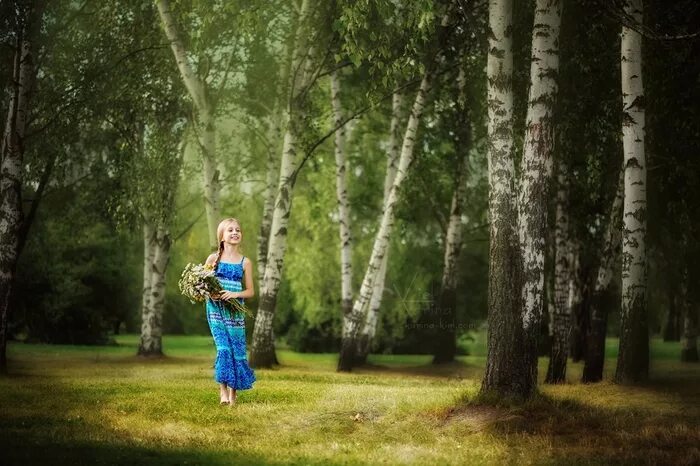 Березки словно девочки. Девушка у березы. Фотосессия в березах. Фотосессия в березовой роще. Девушка Березка.