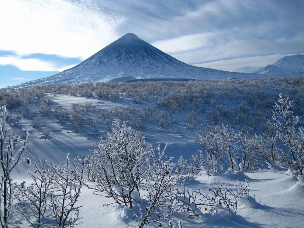 гора лысая кандалакша высота. сопка сурья алтай. сайт сопка. сопки дальнего востока. вулкан черная сопка в красноярске.