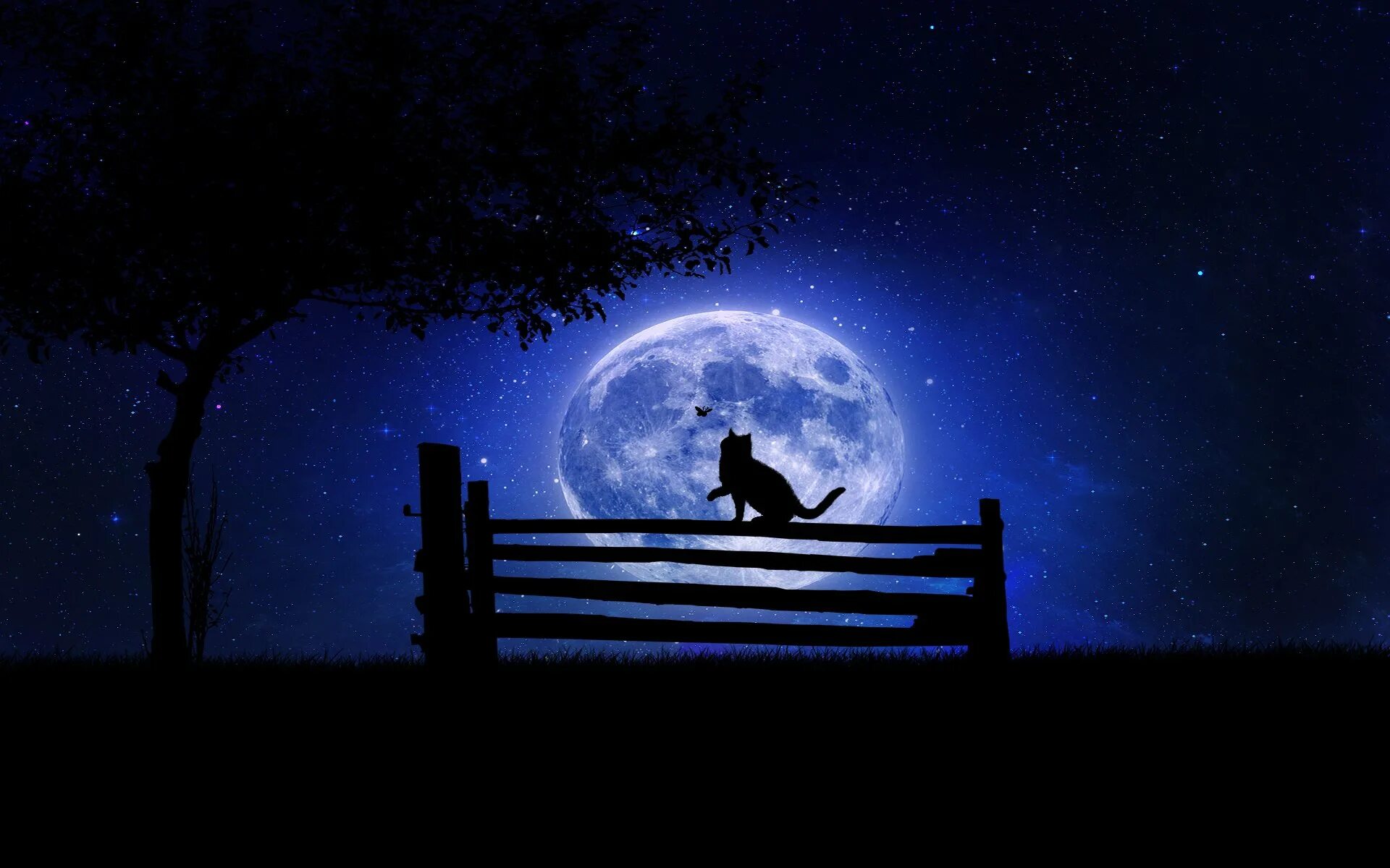 Лунная ночь. Красивая ночь. Ночь картинки. Ночь Луна.