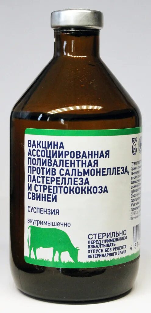 Купить ассоциированную вакцину. Вакцина против сальмонеллеза пастереллеза. Вакцина пастереллез МРС. Вакцина противсальмонеллез пастереллез КРС 100мл /Армавир/. Вакцина против пастереллеза и пастереллеза свиней.