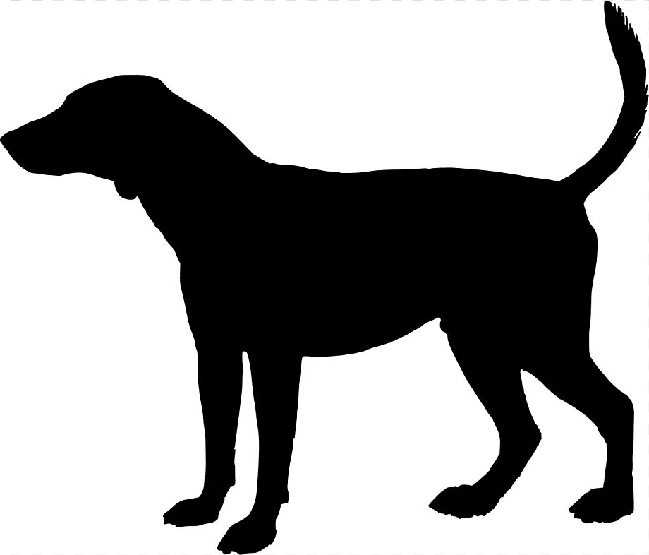 Рисунки черных собак. Тень собаки. Силуэт собаки. Силуэт собачьей головы. Профиль собаки силуэт.