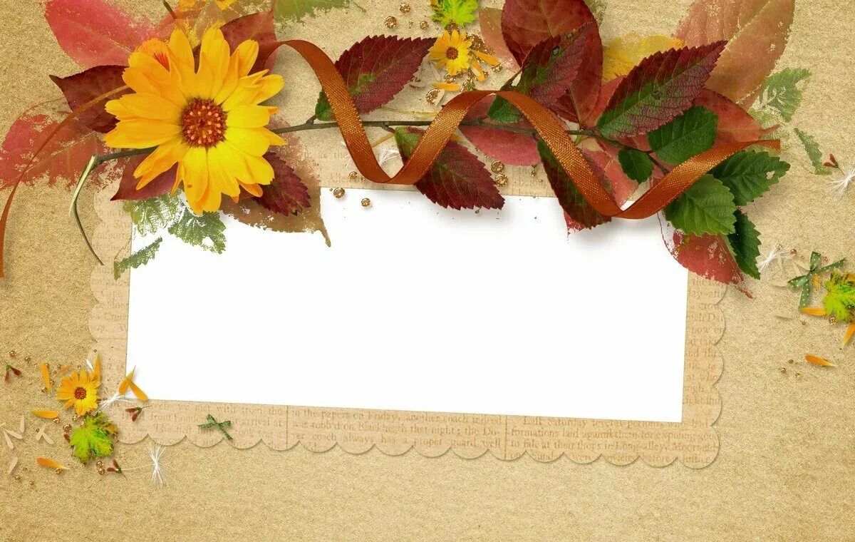 Открытка с местом для текста. Осенние открытки. Осенняя рамка. Рамка осень. Осенний фон для открытки.