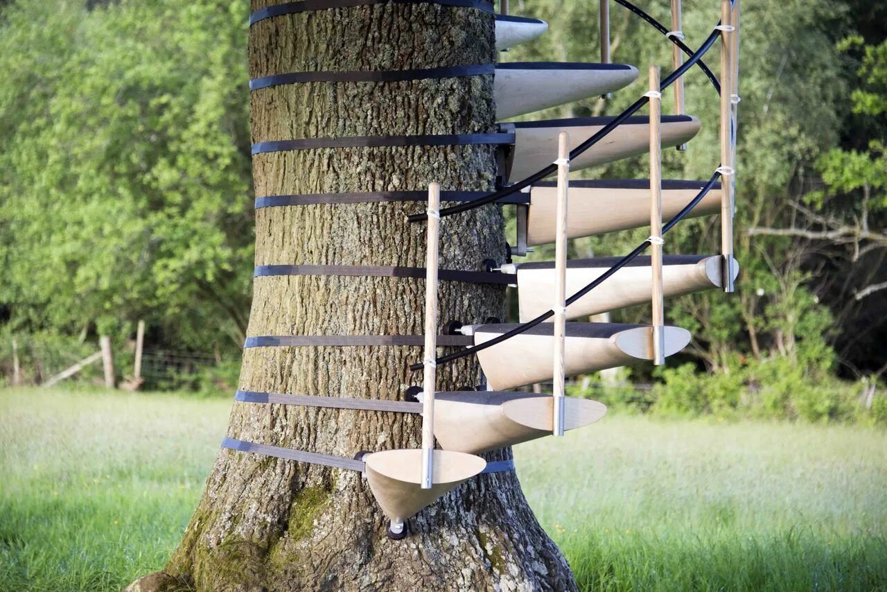 По стволу дерева можно. Винтовая лестница. Винтовая лестница из ствола дерева. Винтовая лестница веревочная. Винтовая лестница вокруг ствола дерева.