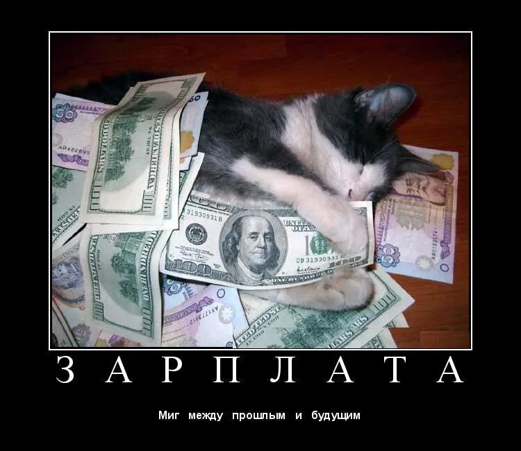 Мужу деньги пришли. Деньги прикол. шутки про деньги. картина денег смешная. смешные изображения на деньгах.