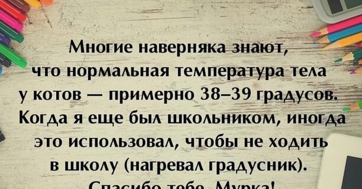 Отмазки не прийти в школу. Отмазки от школы. Смешные истории из жизни школьников. Отмазки от школы для родителей. Отмазки от школы для учителей.