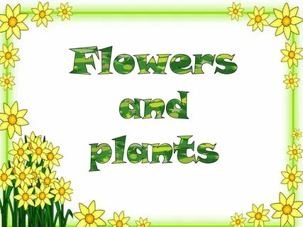 Plant транскрипция