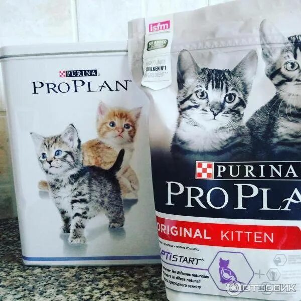 Сухой корм для котят какой лучше. Корм proplan для котов и котят. пурина про план киттен для котят. паспорт кота пурина. какой корм выбрать для котенка.