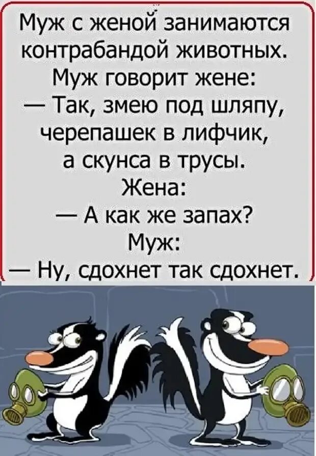 Есть я у мужа у зверя. Анекдоты в картинках. Анекдоты приколы. Веселые анекдоты в картинках. Анекдоты в картинках с надписями.