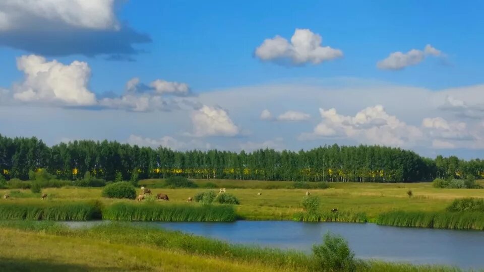 Стихи о тамбовском крае. Презентация на тему родной край. Природа тамбовского края. Природа родного края тамбов. Презентация тамбовский край.