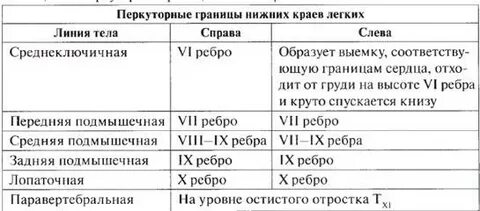 Топографическая перкуссия легких