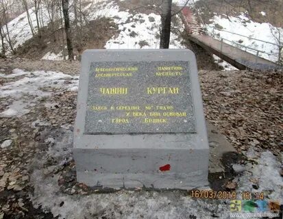 Чашин курган