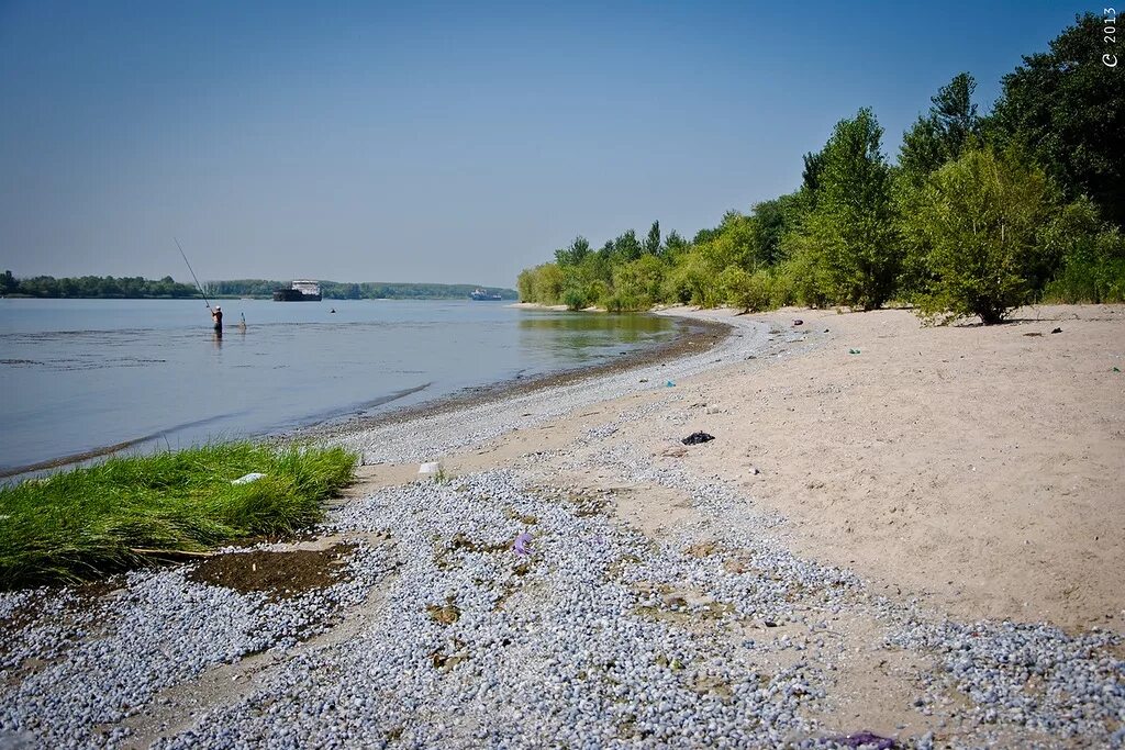 Пляж на реке дон. Кумженская роща ростов-на-дону. ростов кумженская роща пляж. кумженская роща ростов-на-дону фото. мемориальный комплекс «кумженская роща».