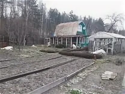Автобус дачи юбилейное рошаль. Автобус дачи юбилейное рошаль