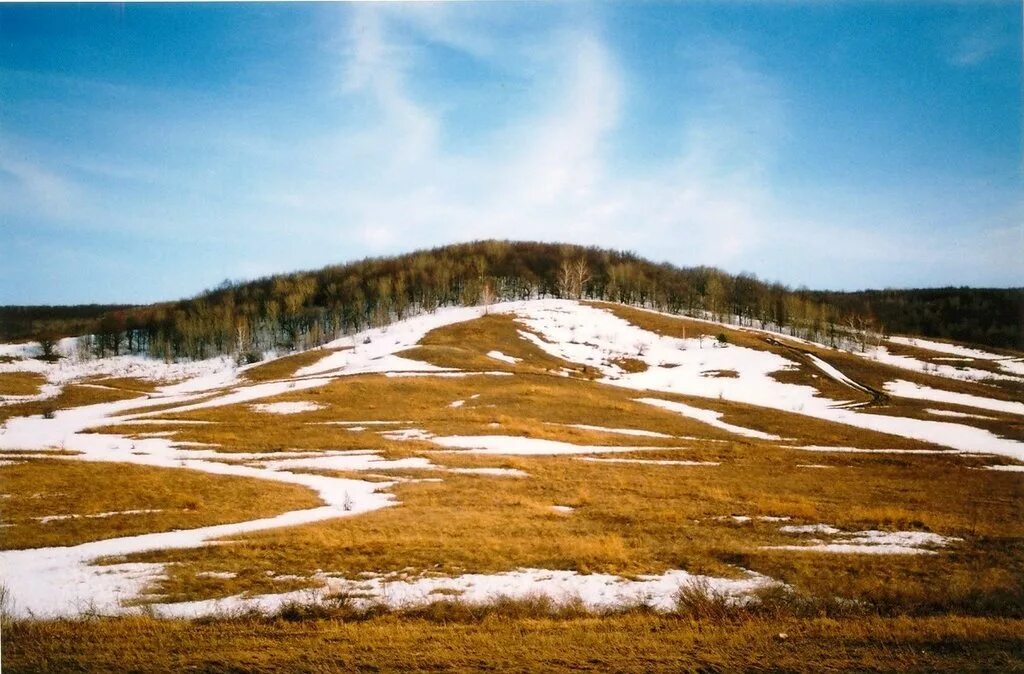 болтуновка хвалынский район. хвалынск сосновая маза. сосновая маза хвалынского. сосновая маза хвалынского. сосновая маза хвалынского.