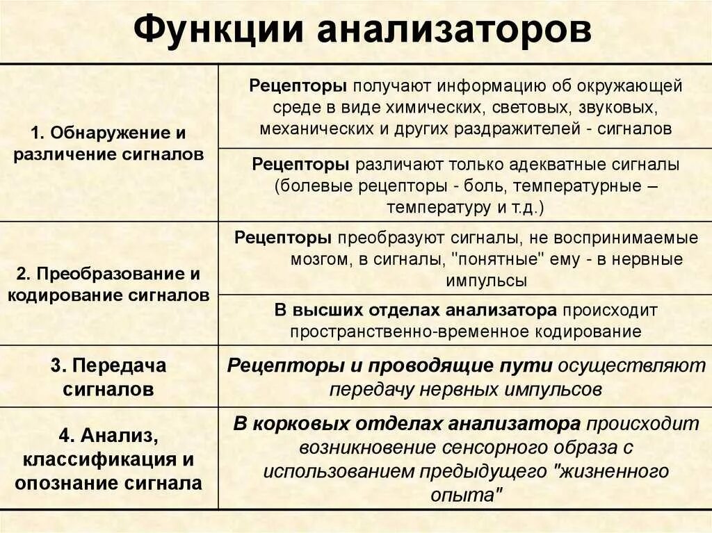 Зрительная функция слуховая функция