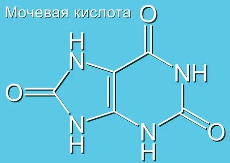 Подготовка к сдаче анализа на мочевую кислоту