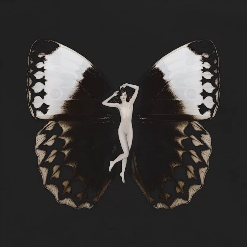 бабочка дам. женщина бабочка. бабочка дам. эстетичные бабочки. оранжевая бабочка.