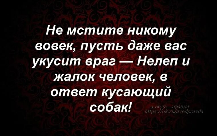 Мстить ли людям. Афоризмы о мести и злобе. Цитаты про мстительность. Цитаты о мести. Цитаты про мстительных людей.