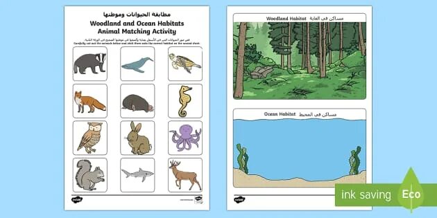 Animal Habitat for Kids. Animal Habitats Worksheets. Pets and their Habitats. Habitats sorting.