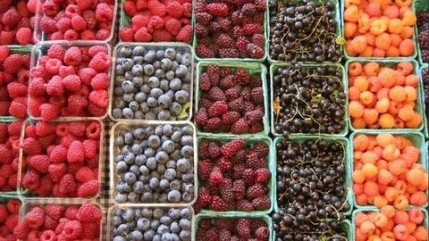 Как правильно употреблять ягоды