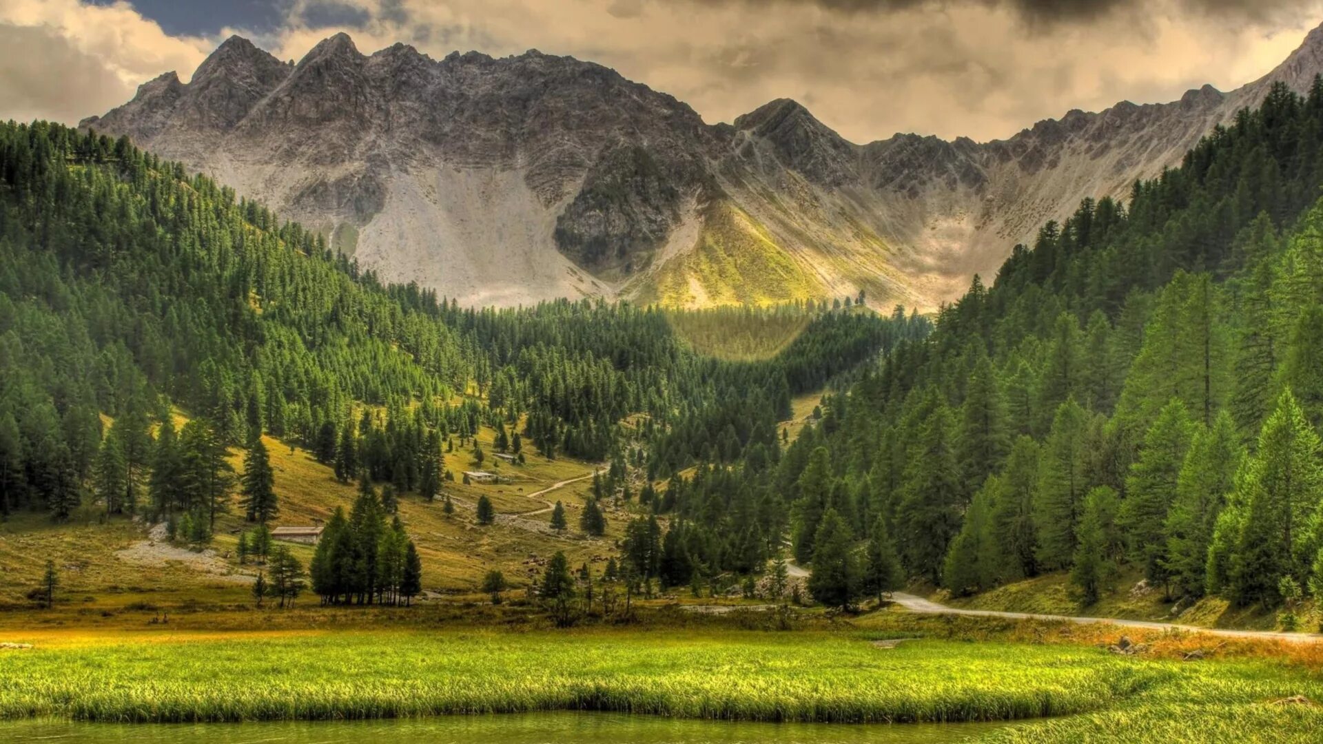 Грин Маунтин гора. Киргизия горы Долина Арашан. Сглаженный ландшафт Долина горы лес Тайга. Грин Маунтинс хребет.