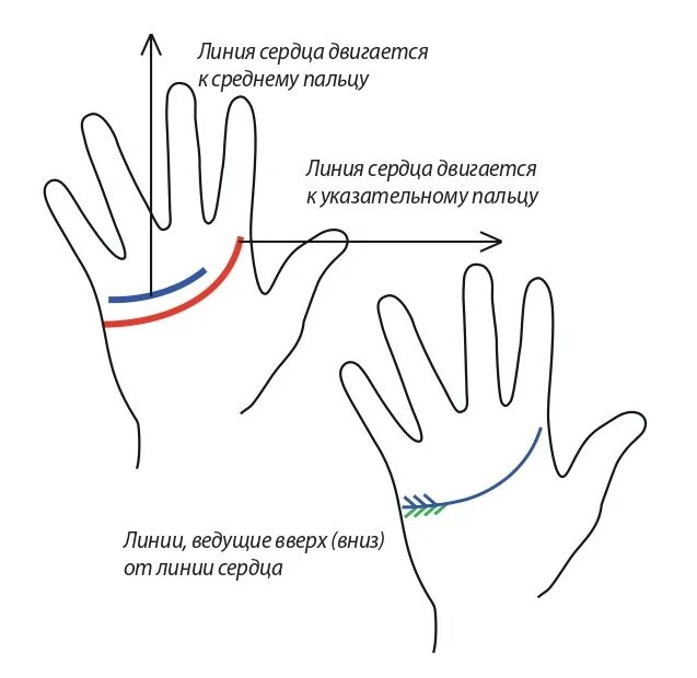 Почему чешутся пальцы на левой руке. Хиромантия, 2 линии сердца. Линия над линией сердца. Линия сердца на руке. Линия сердца на левой руке.