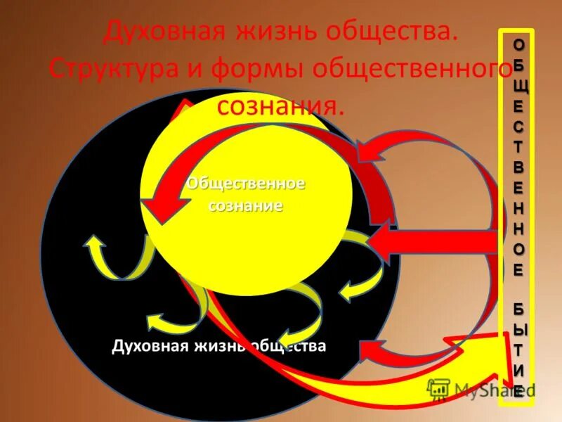 Книга в жизни общества