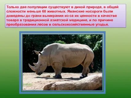 Две популяции