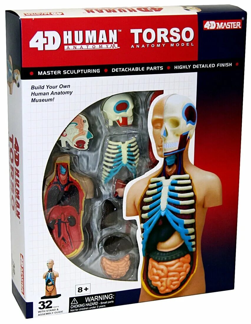 анатомическая модель 4d master белая акула. 4d puzzle fame master алиэкспресс. анатомические модели купить. пазл анатомическая модель тигра. 4d master.