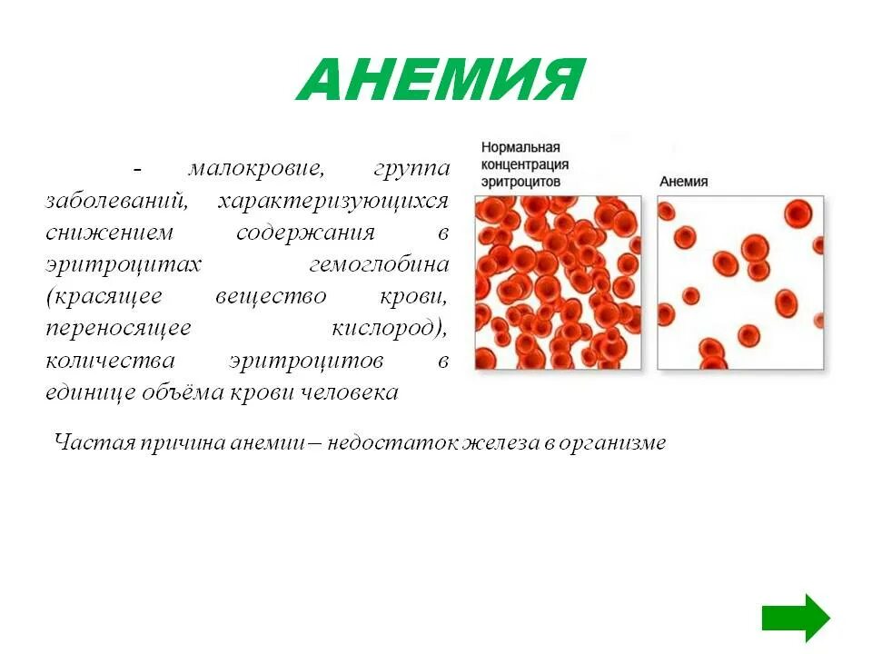 Пониженный гемоглобин в эритроцитах причины