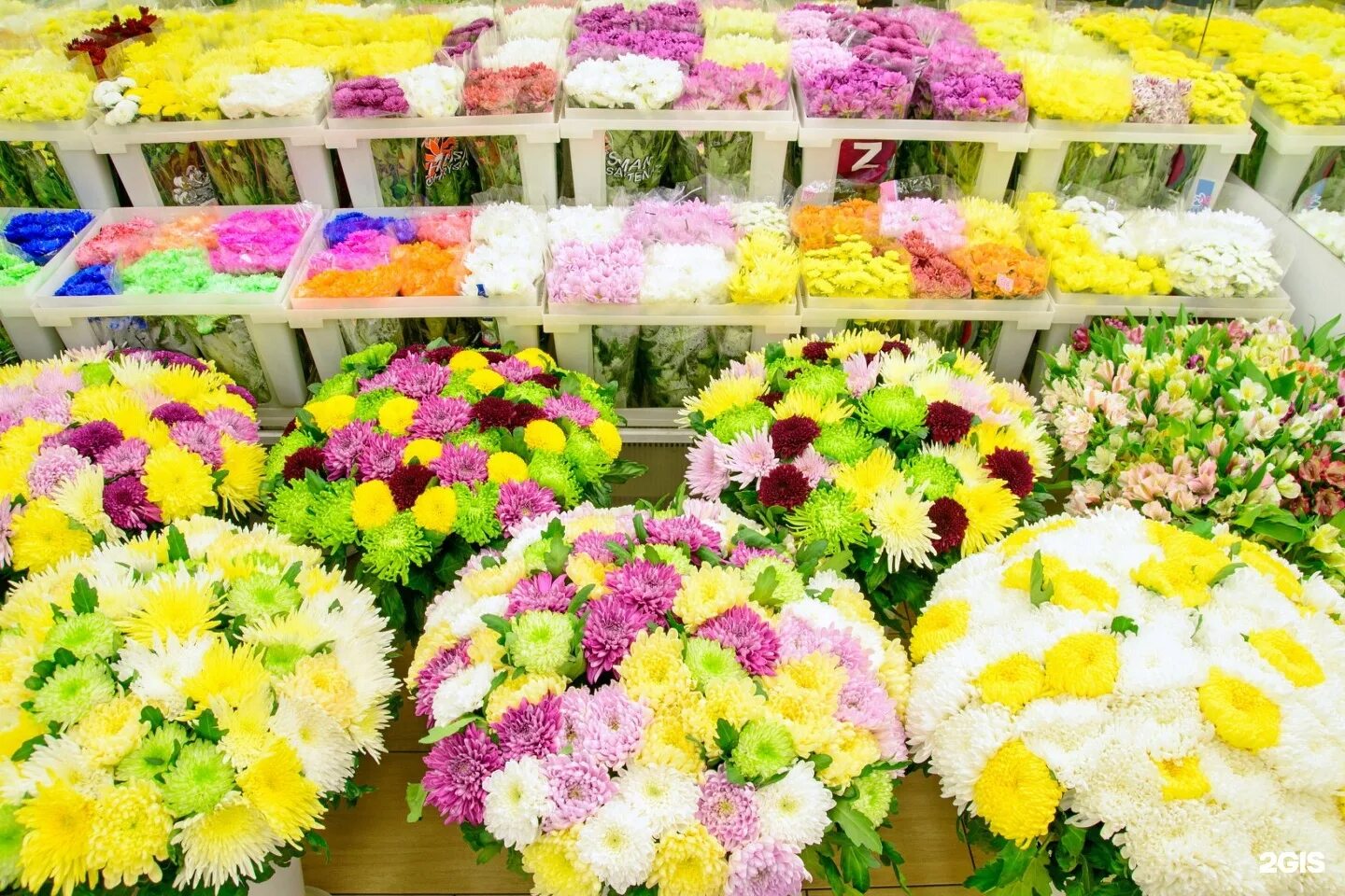 Пионы на рижском рынке. Мегамаркет цветы. Мегамаркет цветы. Орхидеи на рижском рынке. Боско цветы петровский пассаж.