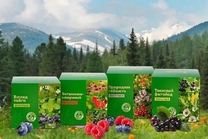 Травяной чай лекарственный. Травяной сбор новосибирск. Травяной чай. Сбор для нормализации обмена веществ. Травяной сбор новосибирск.