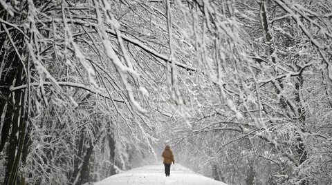 Through the snow