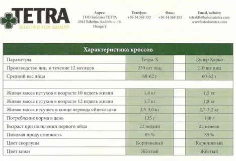 Тетра бройлер