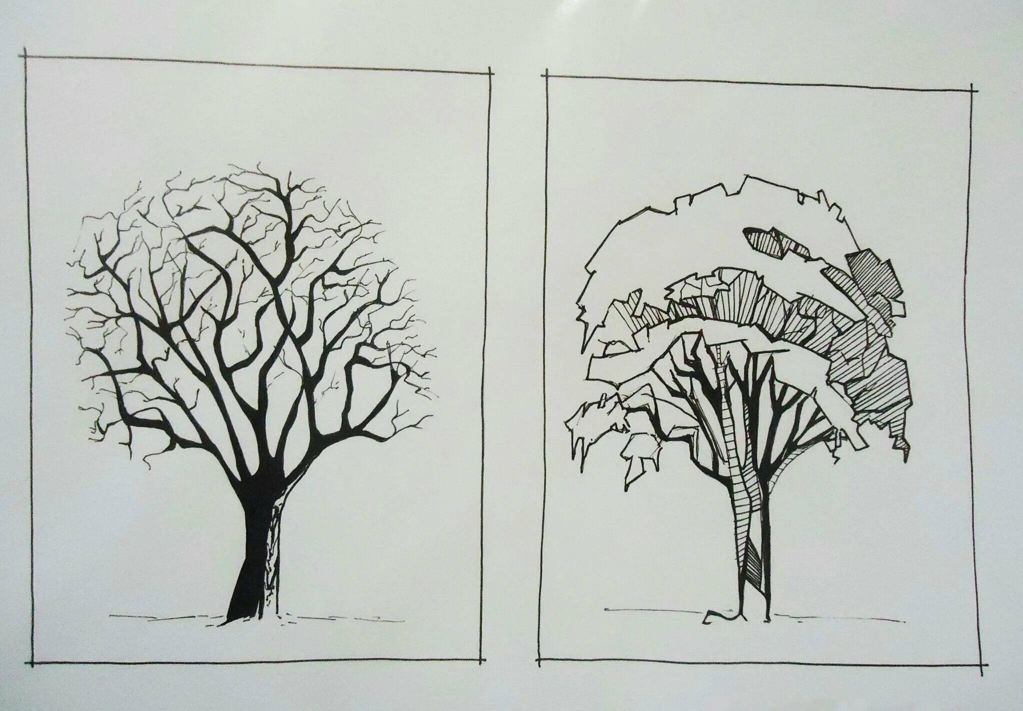 Рисунок дерева 6 класс изо. Стилизация дерева. стилизованные деревья. дерево графика стилизация. стилизация деревьев в графике.