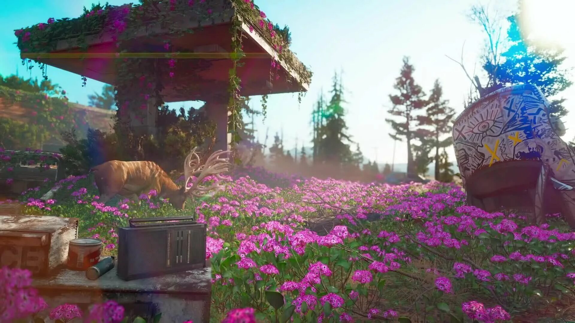 Far Cry New Dawn. Фар край Нью даун. Far Cry far Cry New Dawn. Far Cry 5 New Dawn.