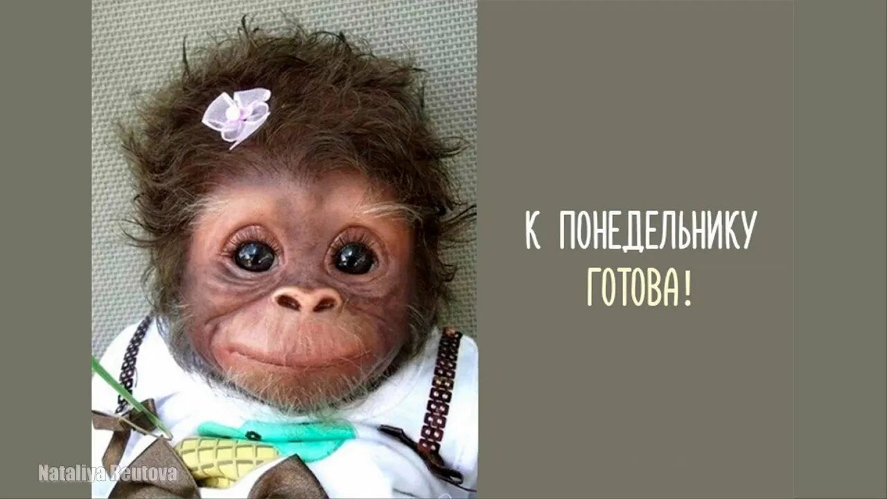 Доброе утро понедельника юмор. Понедельник приколы. Смешные картинки про понедельник. С понедельником прикольные. Открытки с понедельником прикольные.