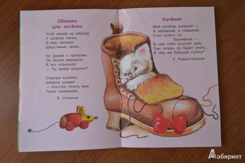 Рифма котик