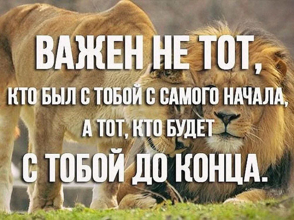 Не важно кем бы был важно. Важен не тот кто был с тобой. Не важно кто был с самого начала. Не важно кто ты важно кто ты. Кто будет с тобой до конца.