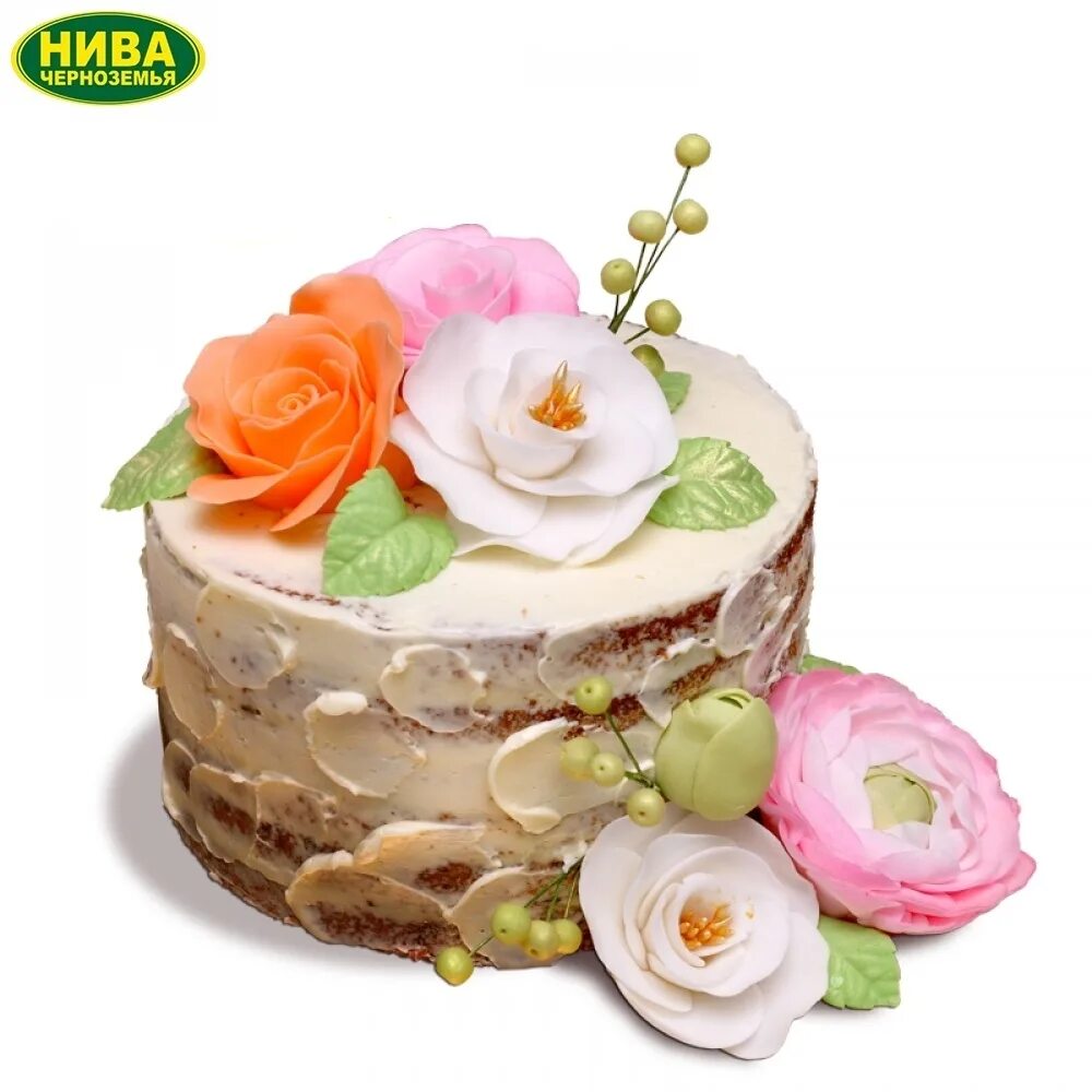 Торты нива черноземья в туле. Черный бархат торт нива черноземья. Торты черноземья в туле. Бостон торт нива черноземья. Торт эстерхази нива черноземья.