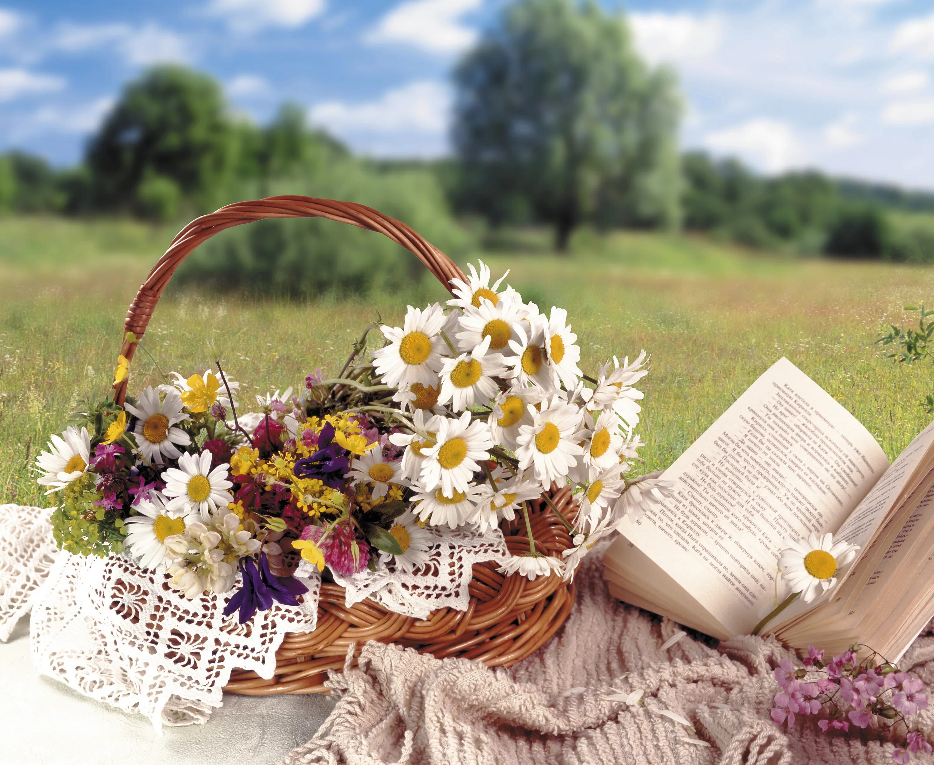 Летние цветы букет. Летние цветы в корзинке. Букет на природе. Книги и ромашки. Весенний книжный букет