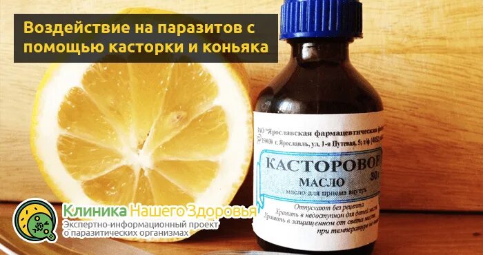 Чистка организма касторовым маслом. Коньяк с касторовым маслом для очищения. Масло для очищения кишечника. Очищение кишечника касторовым маслом и коньяком.