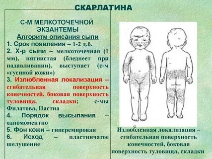 Сыпи при инфекции характер