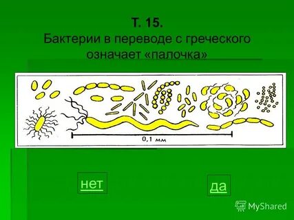 Подпиши изображения используя слова из предложенного списка