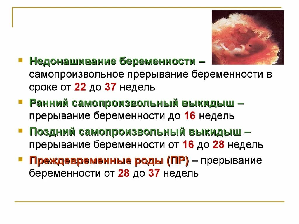 Беременность 1 неделя прерывание. Самопроизвольное прерывание беременности. Выкидыш (самопроизвольный аборт). Самопроизвольный выкидыш сроки. Этапы прерывания беременности.