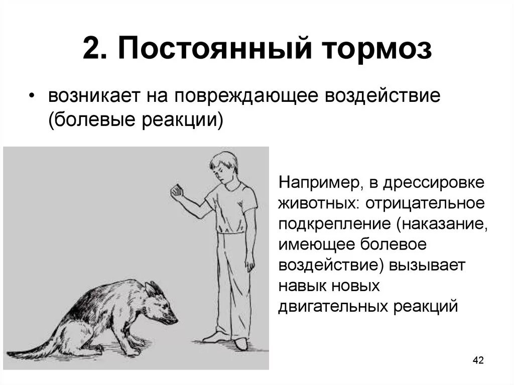 Запредельное торможение условных рефлексов. Постоянный тормоз пример. Гаснущее торможение пример. Безусловное торможение постоянный тормоз примеры. Пример торможения у человека