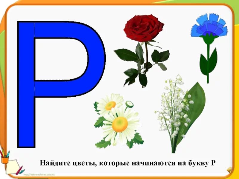 Цветы на букву а. Цветы на букву р. Цветы на букву р с картинками. Буквы для цветов. Слово 4 б последняя а