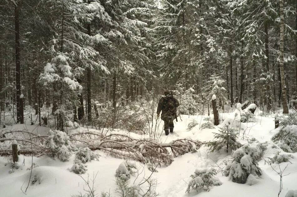 Охотники в сибирской тайге. Охотник в зимнем лесу. Охотник в лесу. Охотник зимой в тайге.