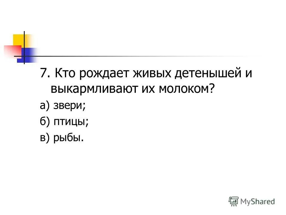 Ктотрождает живых детенышей и выкармливает их молоком.